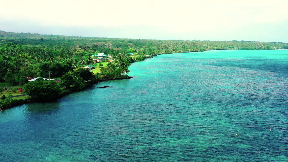 Limu harvest with UNDP and Ministry of Agriculture and Fisheries in Samoa